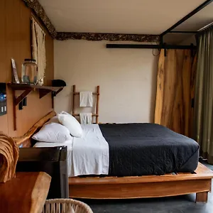 2* Otel Bufo Alvarius